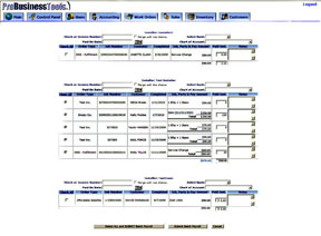 Accounting Report Edit